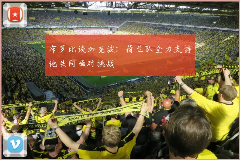 布罗比谈加克波：荷兰队全力支持他共同面对挑战