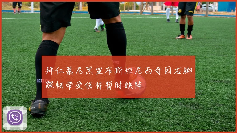 拜仁慕尼黑宣布斯坦尼西奇因右脚踝韧带受伤将暂时缺阵